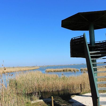 Quet - Casa Rural Con Piscina Privada En El Delta Del Ebro - Deltavacaciones Deltebre Esterno foto