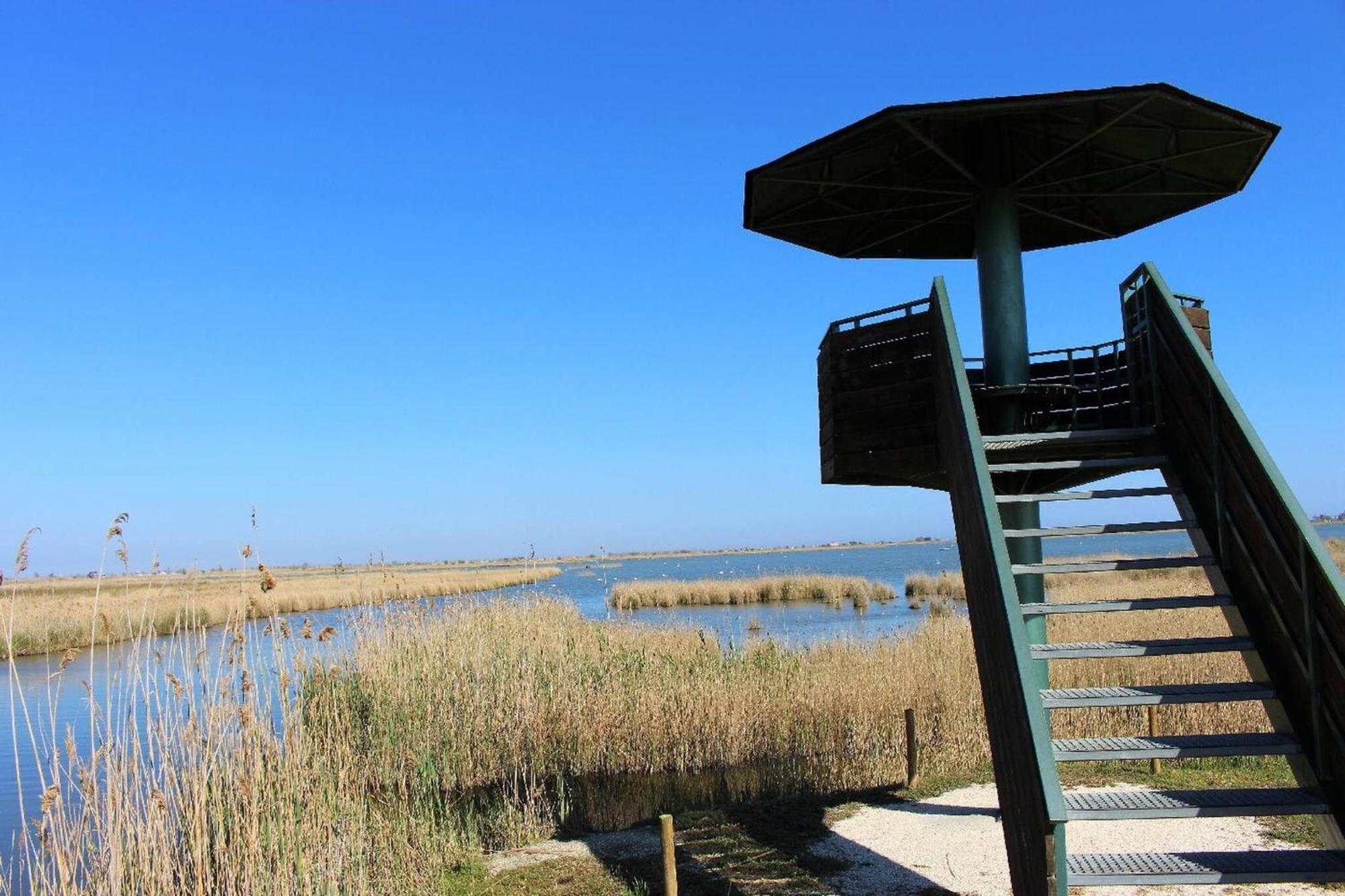 Quet - Casa Rural Con Piscina Privada En El Delta Del Ebro - Deltavacaciones Deltebre Esterno foto